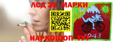 гидропоника Берёзовский