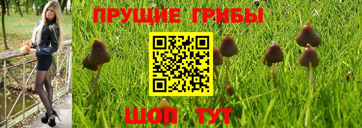 Псилоцибиновые грибы Psilocybe  Галлюциногенные грибы Cubensis  Каменск-Шахтинский  Вход с VPN 