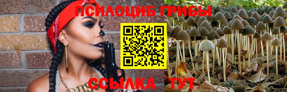 Каменск-Шахтинский  Псилоцибиновые грибы мицелий  Вход с VPN 