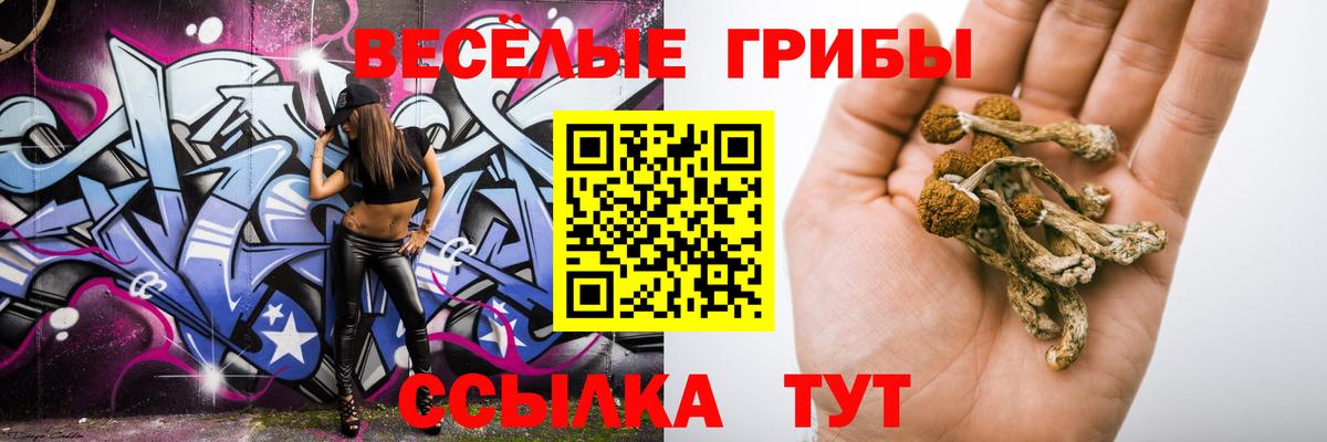 Псилоцибиновые грибы Cubensis Каменск-Шахтинский