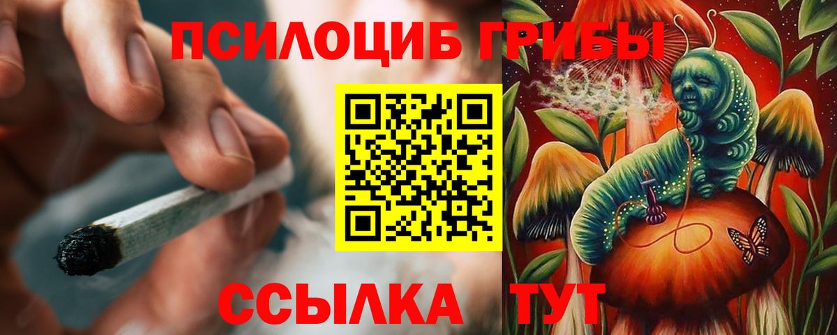 Псилоцибиновые грибы Magic Shrooms  Псилоцибиновые грибы Psilocybine cubensis  что такое   Каменск-Шахтинский 