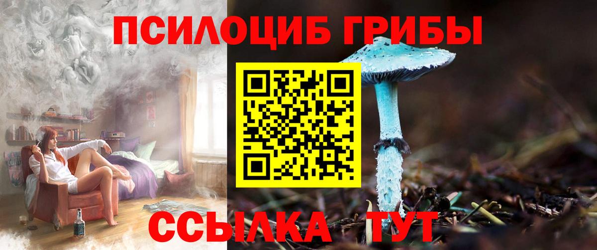 Галлюциногенные грибы Magic Shrooms Каменск-Шахтинский